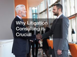 litigation consulting