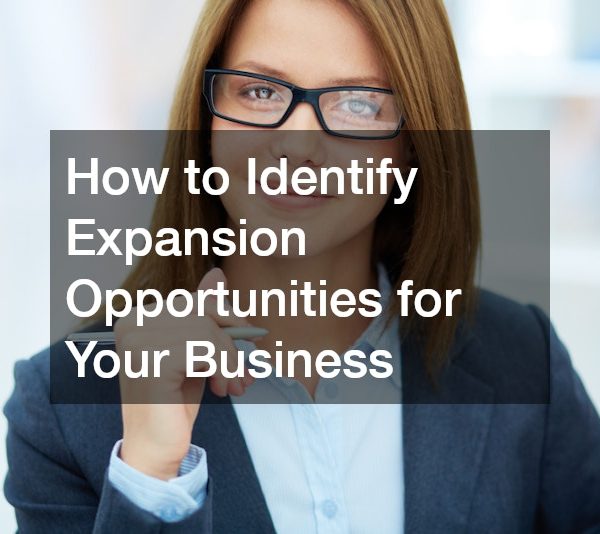 How to Identify Expansion Opportunities for Your Business