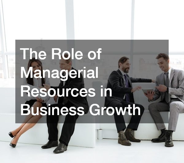 The Role of Managerial Resources in Business Growth