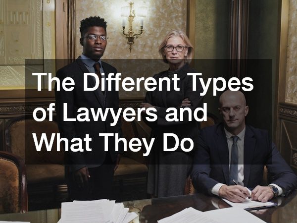The Different Types of Lawyers and What They Do